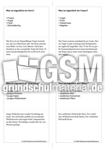 Quiz-Karten-Tiernamen 35.pdf